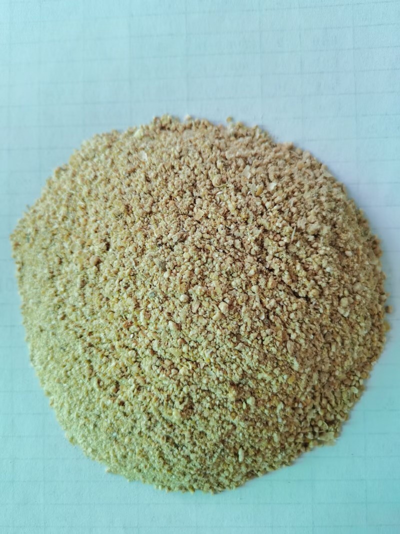 Thức ăn tập trung cho heo béo