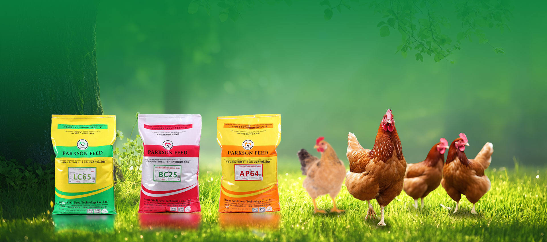 Nhà sản xuất chuyên nghiệp của chim premiks